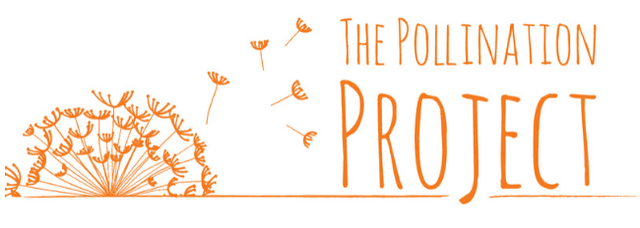 The Pollination Project logo